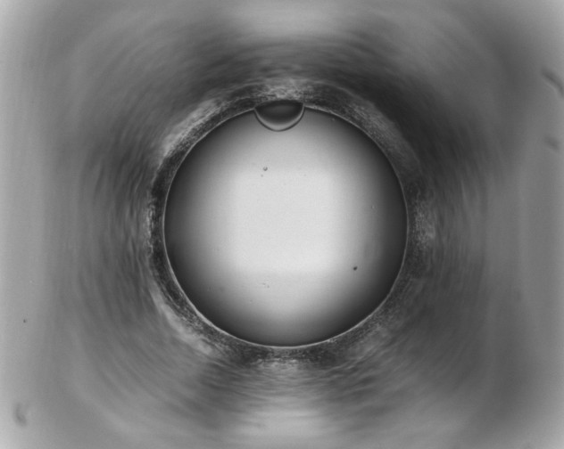 X0000103270730200808291239