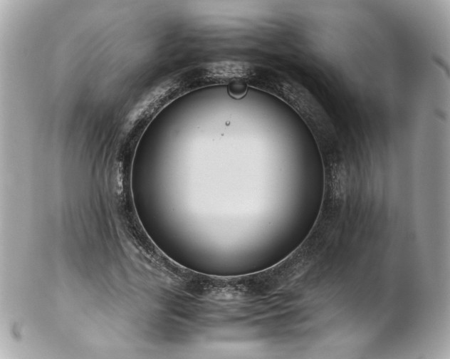 X0000103270731200808291239