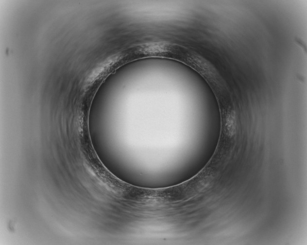 X0000103270732200808291239