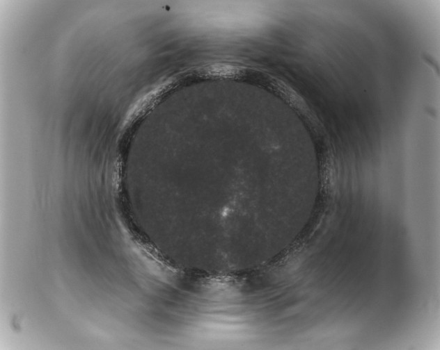 X0000103270736200808291239