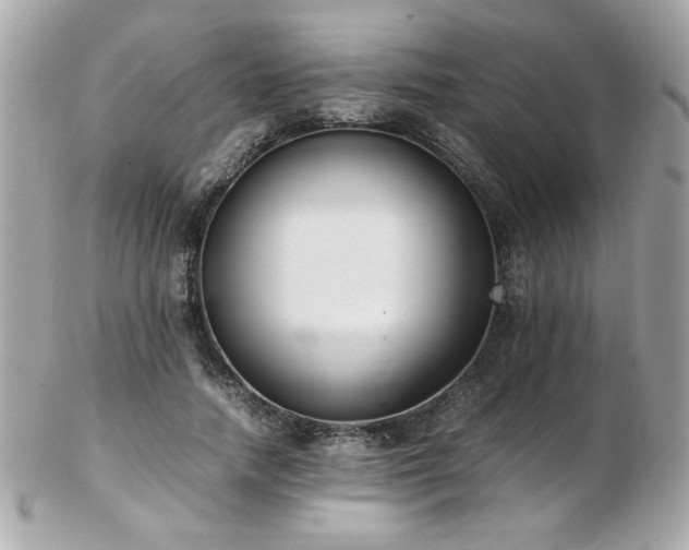 X0000103270738200808291239