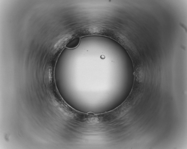 X0000103270740200808291239