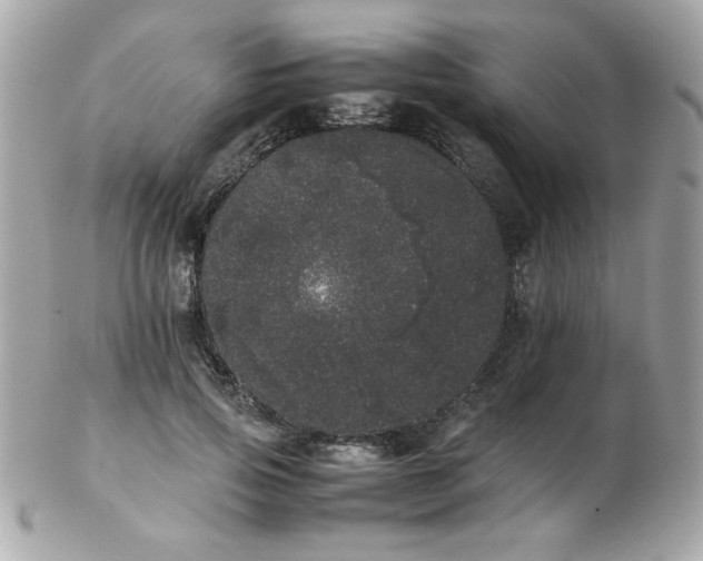 X0000103270741200808291239