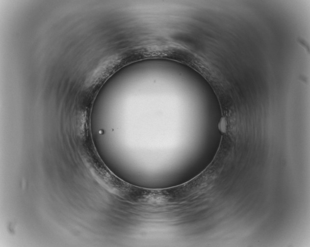 X0000103270742200808291239