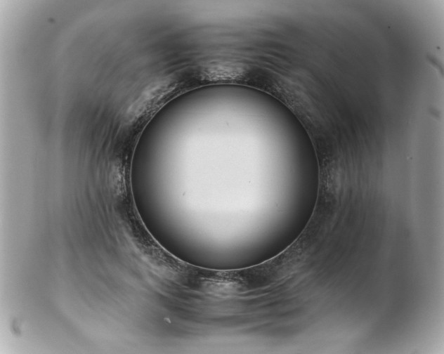 X0000103270743200808291239