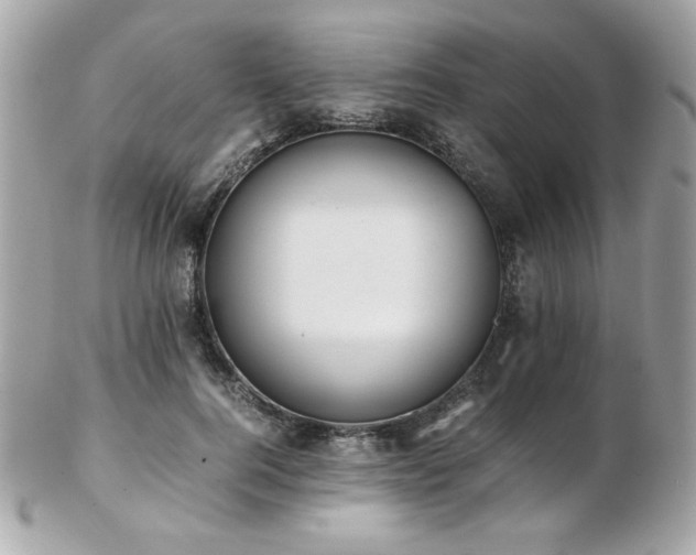 X0000103270744200808291239