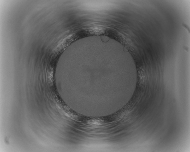 X0000103270745200808291239