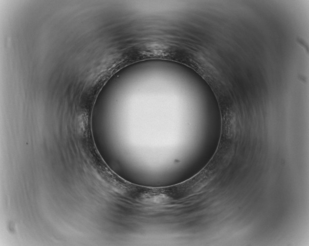 X0000103270747200808291239