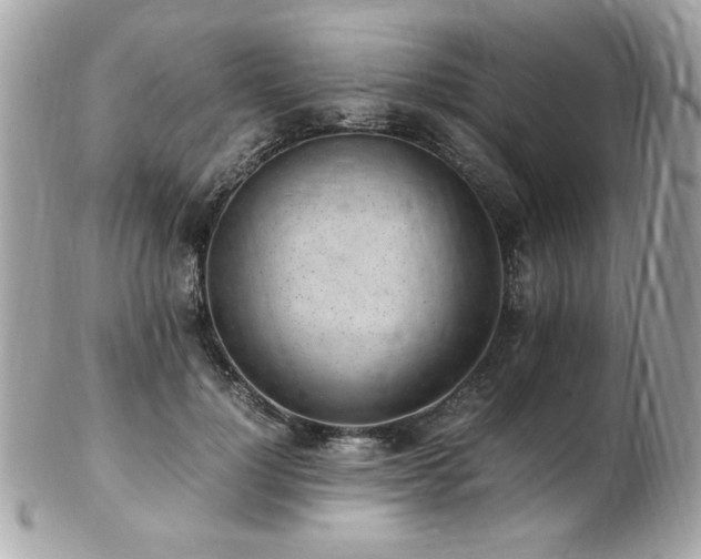 X0000103270748200808291239