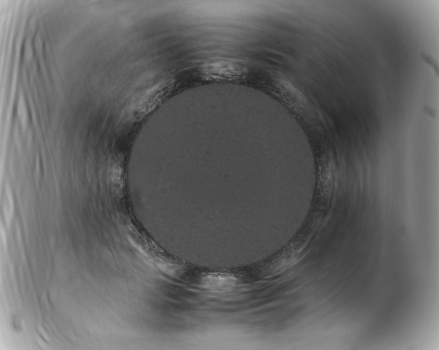 X0000103270749200808291239