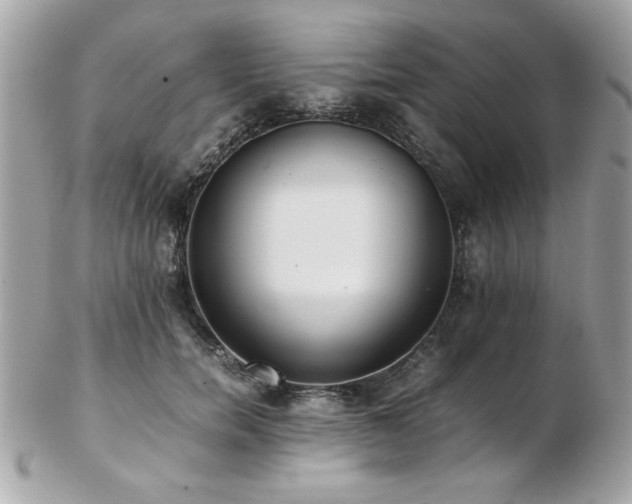 X0000103270750200808291239