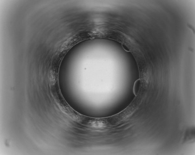 X0000103270751200808291239