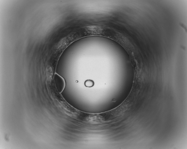 X0000103270752200808291240