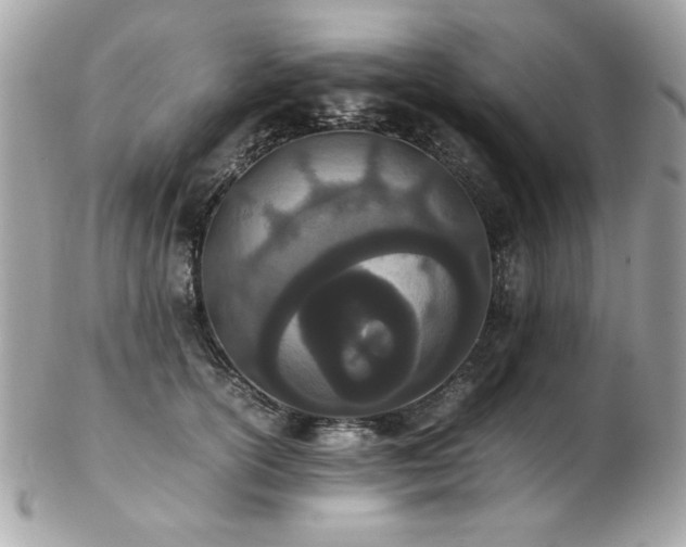 X0000103270754200808291240