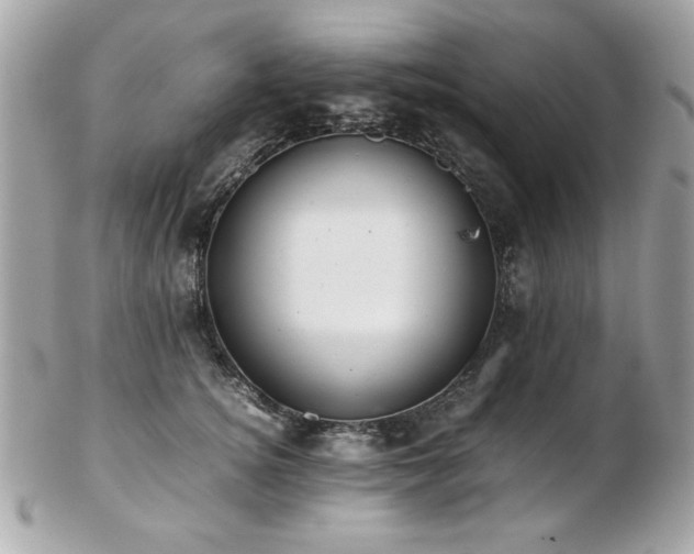 X0000103270756200808291240