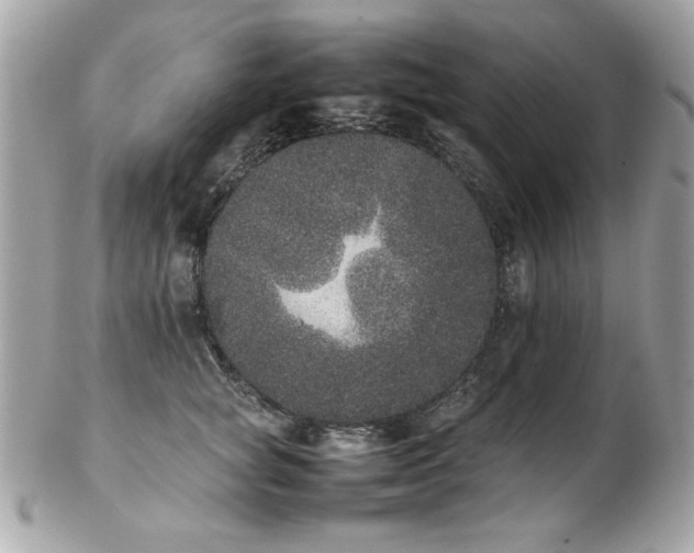 X0000103270757200808291240