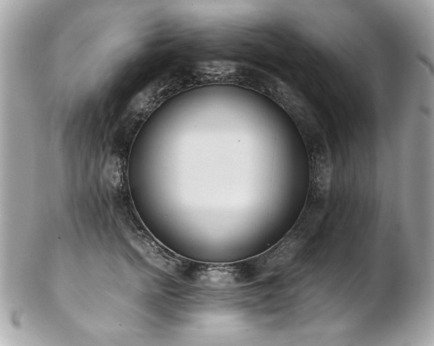 X0000103270758200808291240