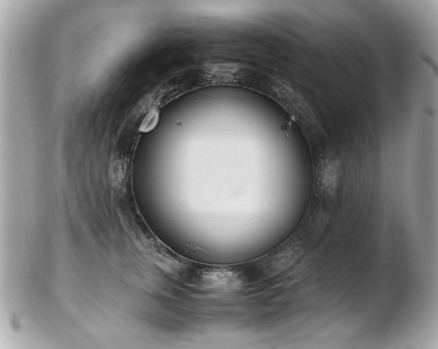 X0000103270759200808291240