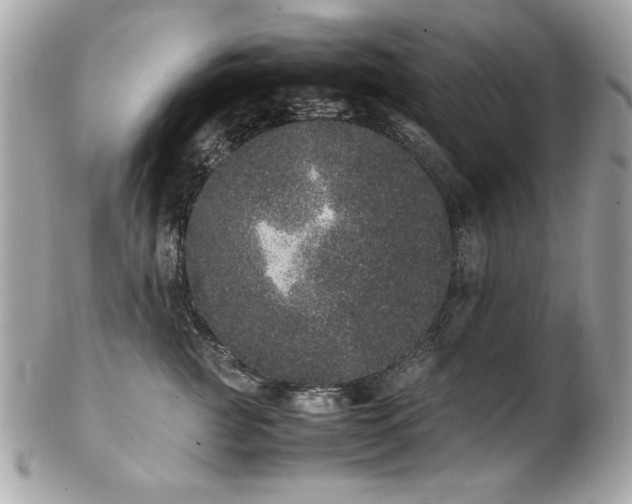 X0000103270761200808291240