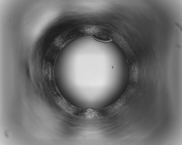 X0000103270762200808291240