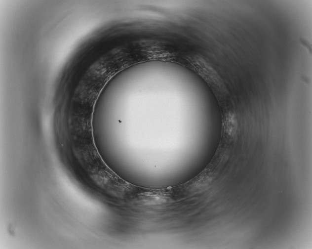 X0000103270763200808291240