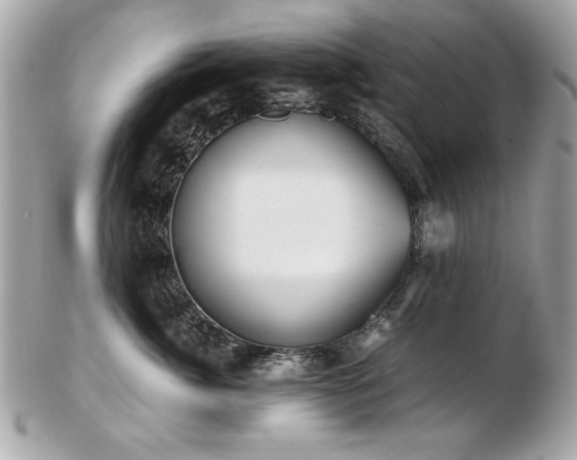 X0000103270764200808291240