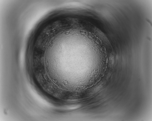 X0000103270765200808291240