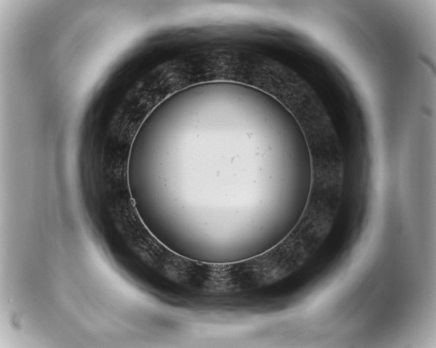 X0000103270766200808291240