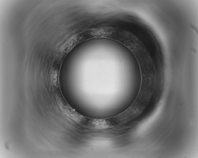 X0000103270767200808291240