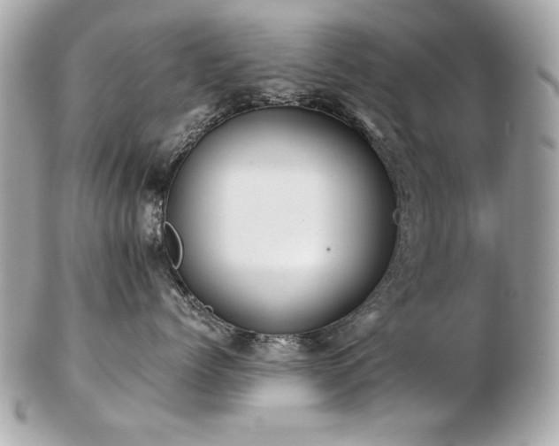 X0000103270768200808291240