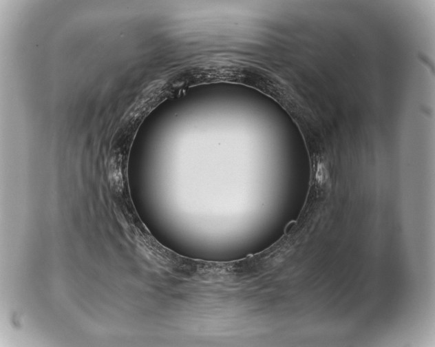 X0000103270771200808291239