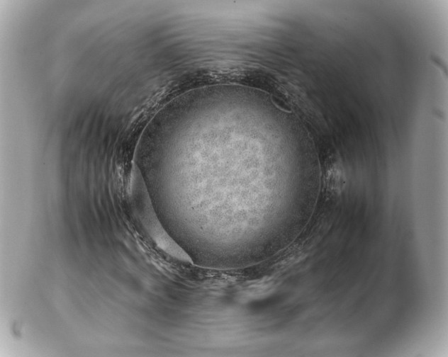 X0000103270772200808291239