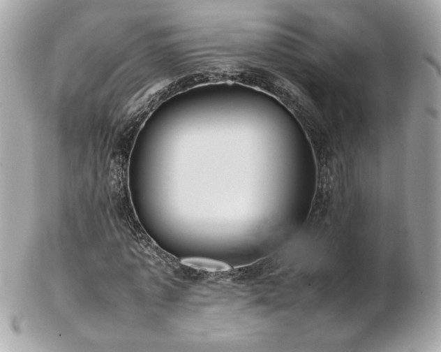 X0000103270773200808291239