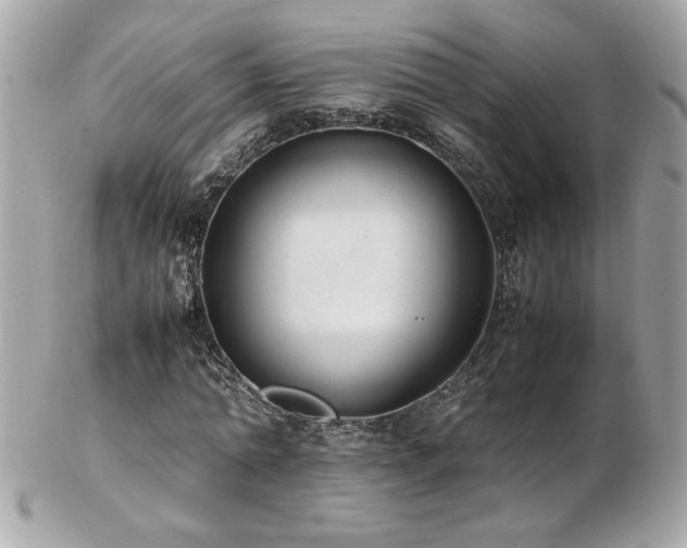 X0000103270774200808291239