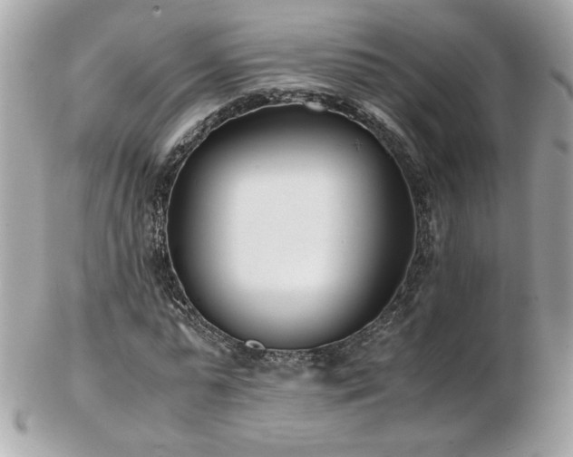 X0000103270775200808291239