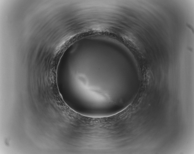 X0000103270776200808291239