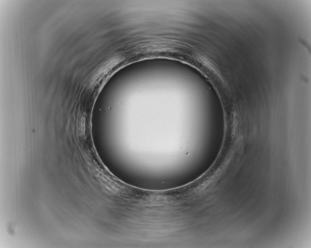 X0000103270777200808291239