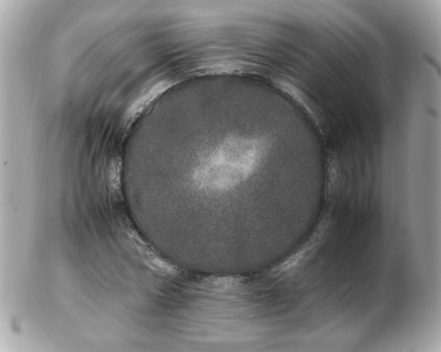 X0000103270778200808291239