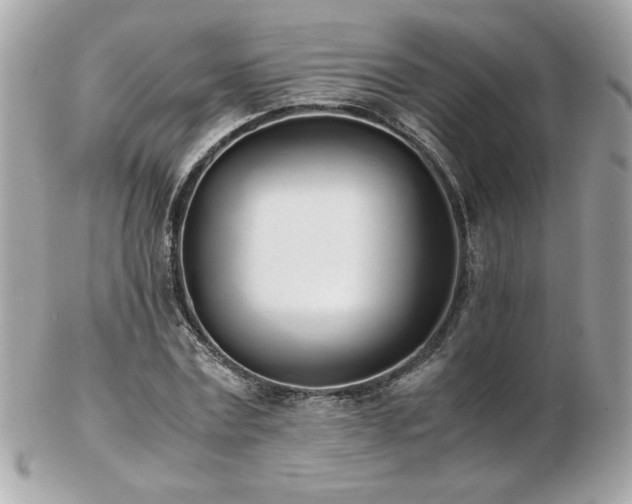 X0000103270779200808291239