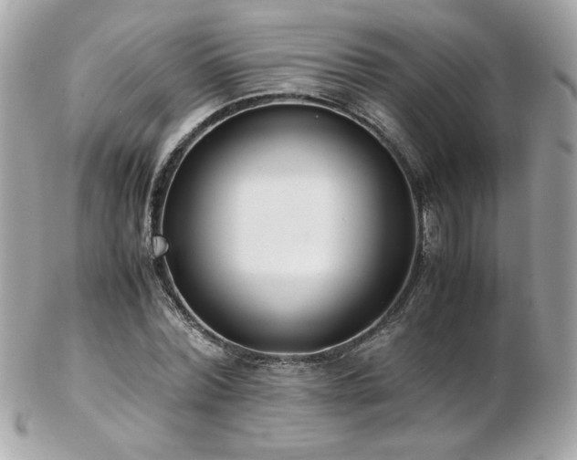 X0000103270780200808291239