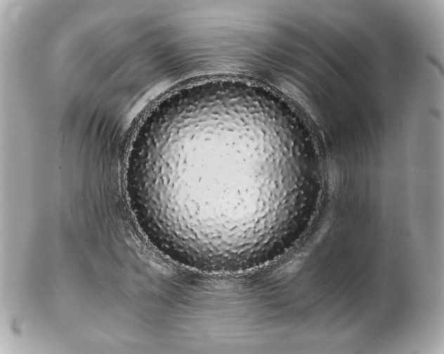 X0000103270781200808291239