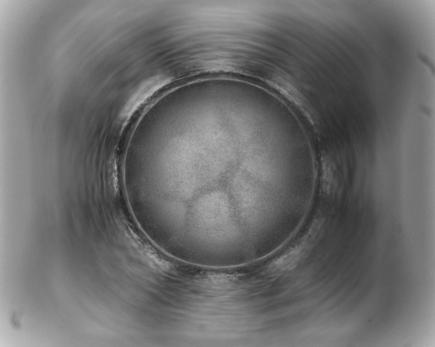 X0000103270782200808291239