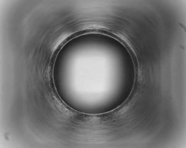 X0000103270783200808291239