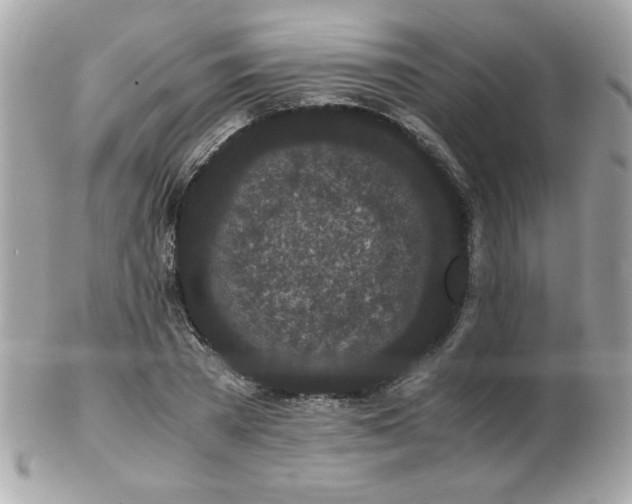 X0000103270785200808291239