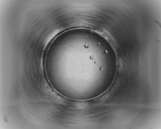 X0000103270788200808291239