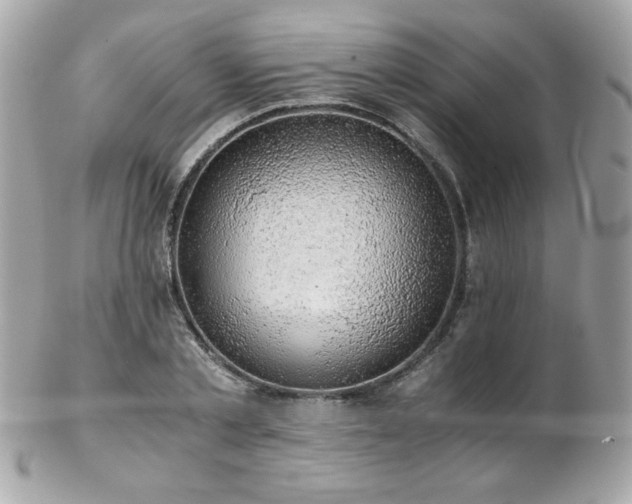 X0000103270789200808291239