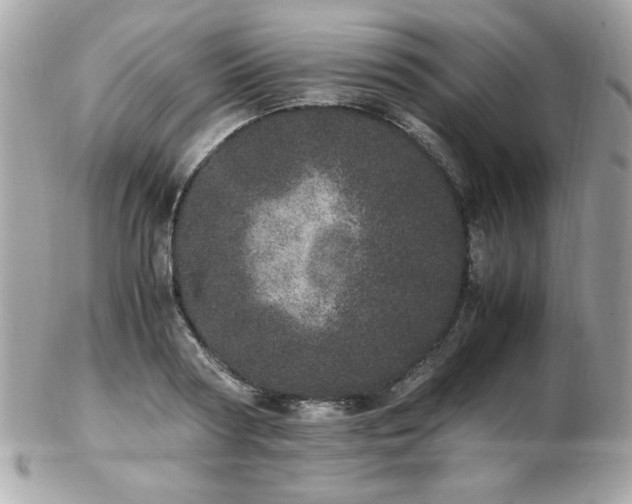 X0000103270794200808291239