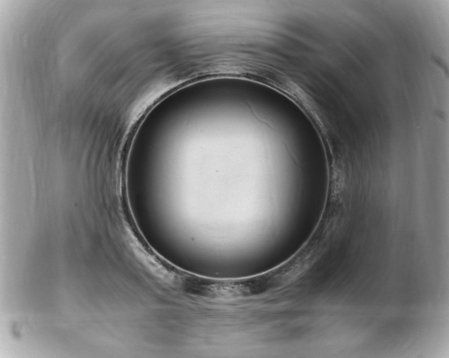 X0000103270795200808291239