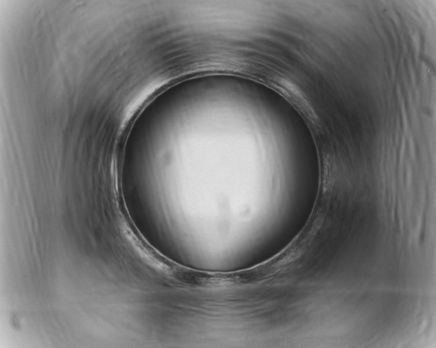 X0000103270796200808291239