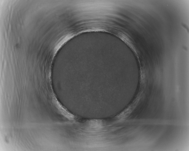 X0000103270797200808291239